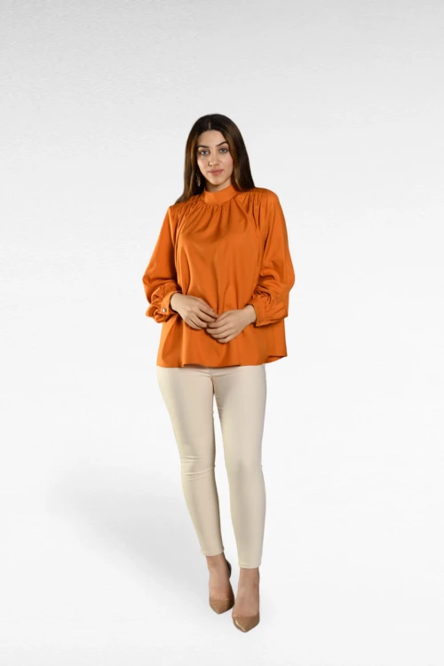 Bol Kalıp Saten Görünümlü Uzun Kollu Boğazlı Bluz SBD-DIOR-302